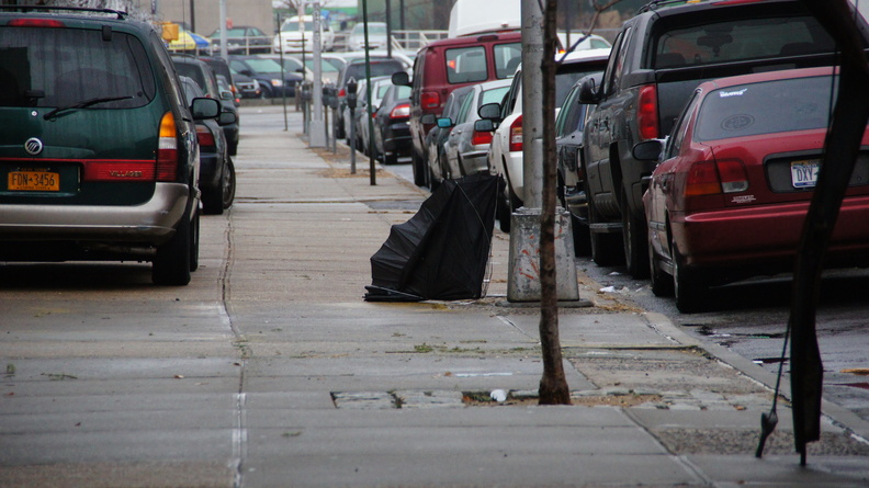 Discarded Umbrella Carcasses, NYC