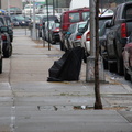 Discarded Umbrella Carcasses, NYC