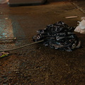 Discarded Umbrella Carcasses, NYC