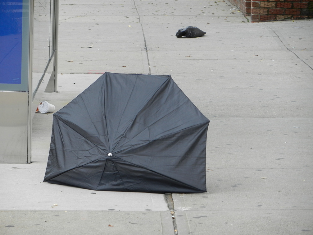 Discarded Umbrella Carcasses, NYC