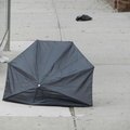 Discarded Umbrella Carcasses, NYC