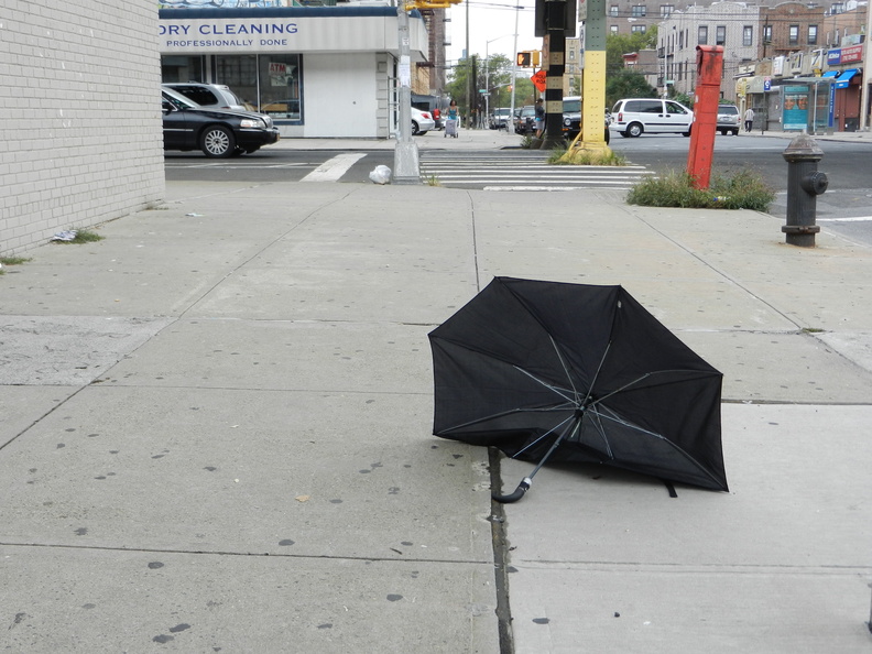 Discarded Umbrella Carcasses, NYC