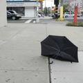 Discarded Umbrella Carcasses, NYC