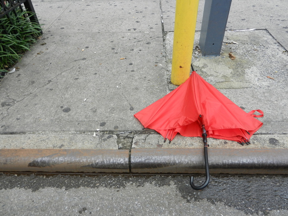 Discarded Umbrella Carcasses, NYC