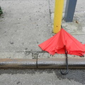 Discarded Umbrella Carcasses, NYC