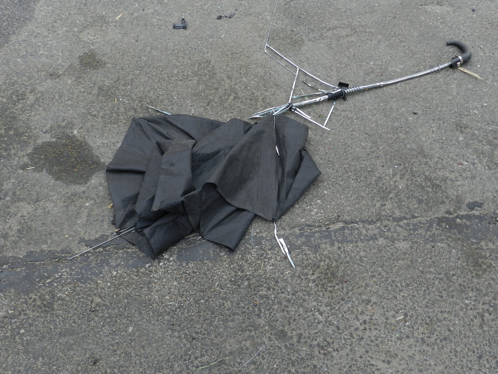 Discarded Umbrella Carcasses, NYC