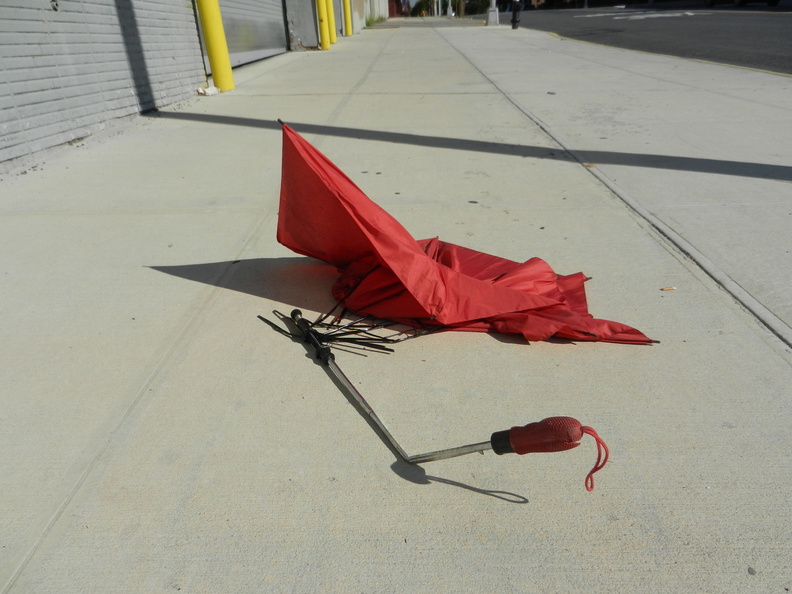 Discarded Umbrella Carcasses, NYC