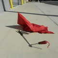 Discarded Umbrella Carcasses, NYC