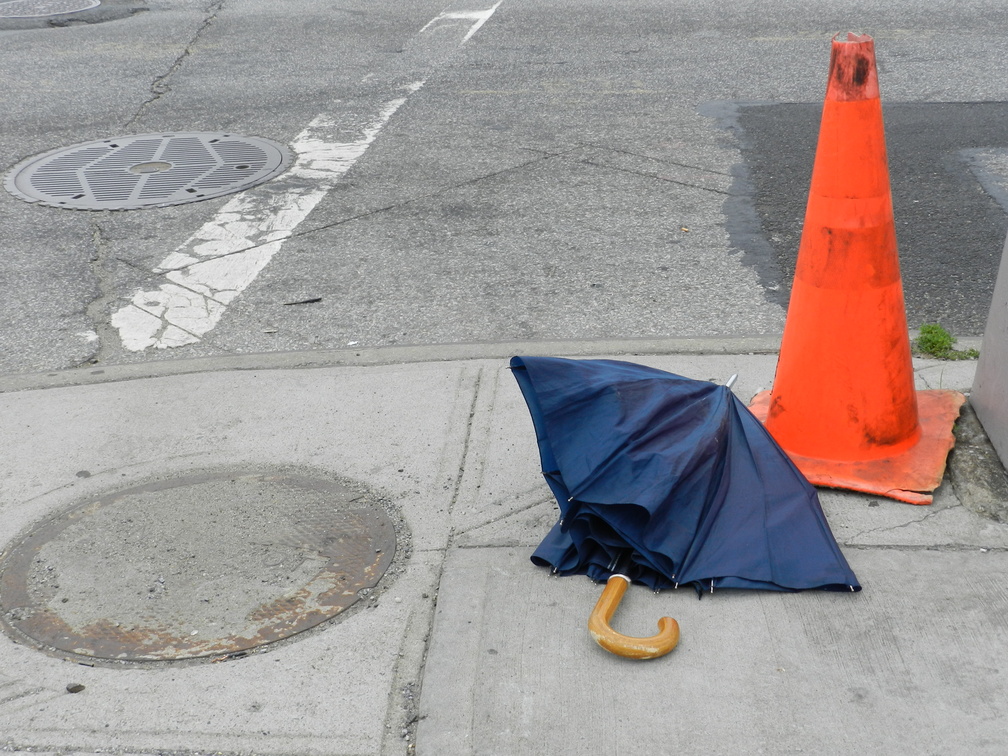 Discarded Umbrella Carcasses, NYC