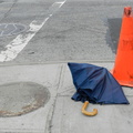 Discarded Umbrella Carcasses, NYC