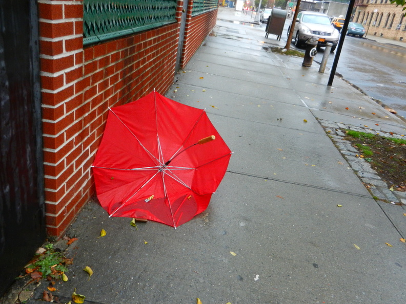 Discarded Umbrella Carcasses, NYC