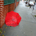 Discarded Umbrella Carcasses, NYC