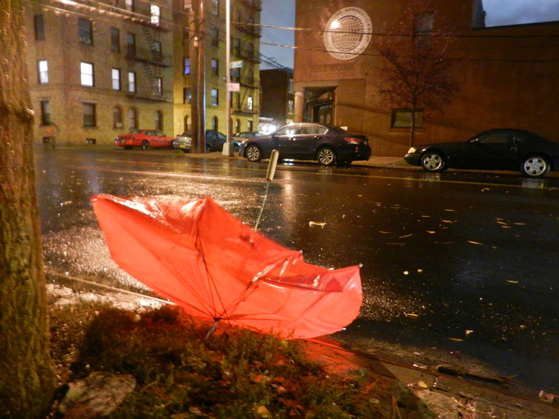 Discarded Umbrella Carcasses, NYC