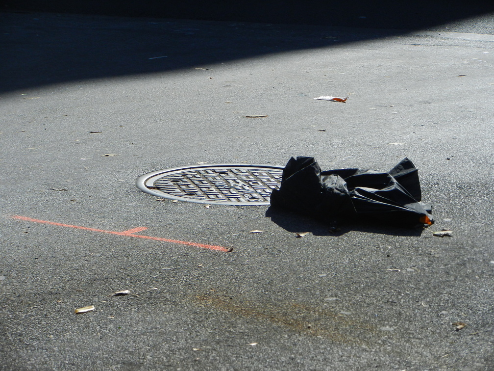 Discarded Umbrella Carcasses, NYC