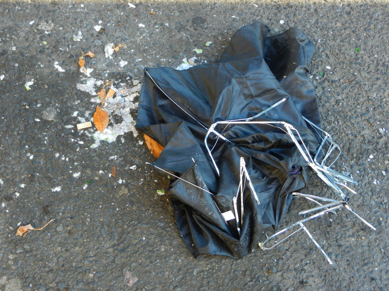 Discarded Umbrella Carcasses, NYC