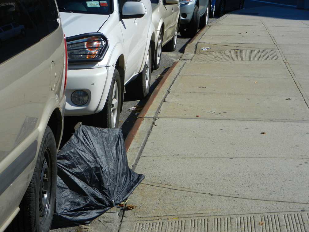 Discarded Umbrella Carcasses, NYC