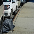 Discarded Umbrella Carcasses, NYC