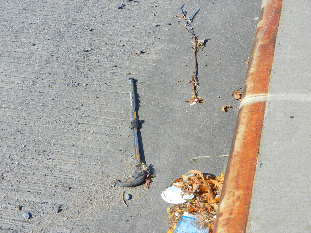 Discarded Umbrella Carcasses, NYC