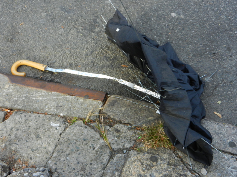 Discarded Umbrella Carcasses, NYC