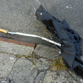 Discarded Umbrella Carcasses, NYC