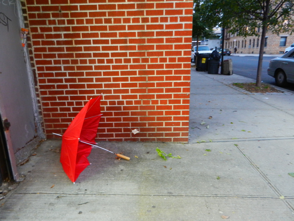 Discarded Umbrella Carcasses, NYC