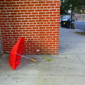 Discarded Umbrella Carcasses, NYC