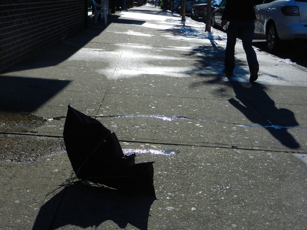 Discarded Umbrella Carcasses, NYC