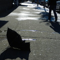 Discarded Umbrella Carcasses, NYC