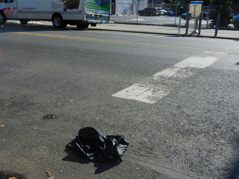 Discarded Umbrella Carcasses, NYC