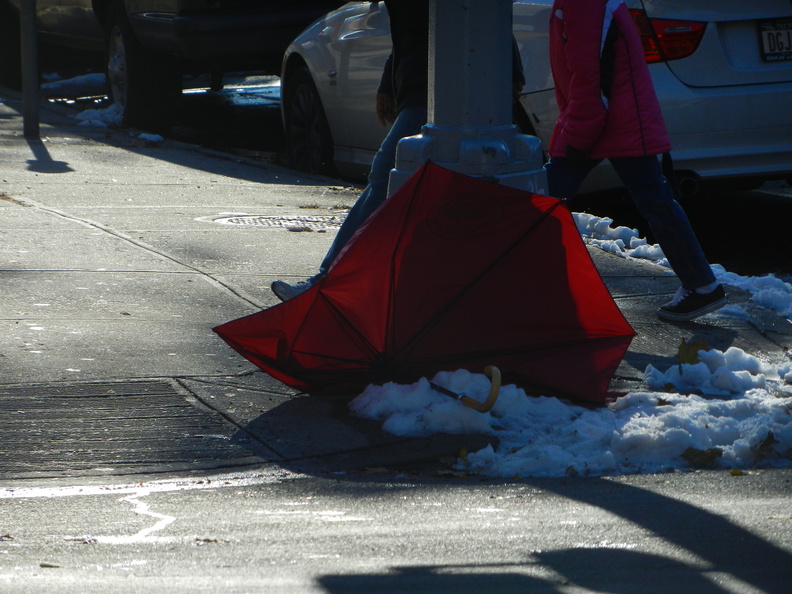 Discarded Umbrella Carcasses, NYC