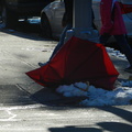 Discarded Umbrella Carcasses, NYC