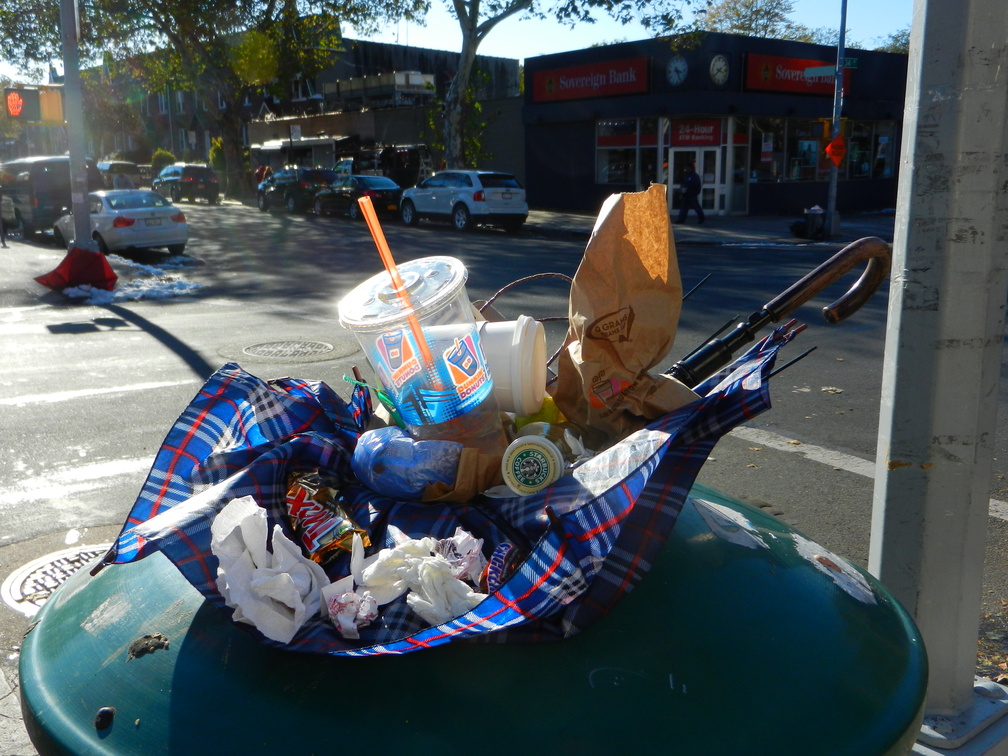 Discarded Umbrella Carcasses, NYC