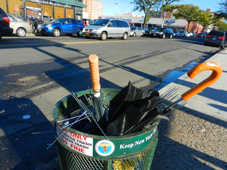 Discarded Umbrella Carcasses, NYC