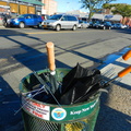 Discarded Umbrella Carcasses, NYC