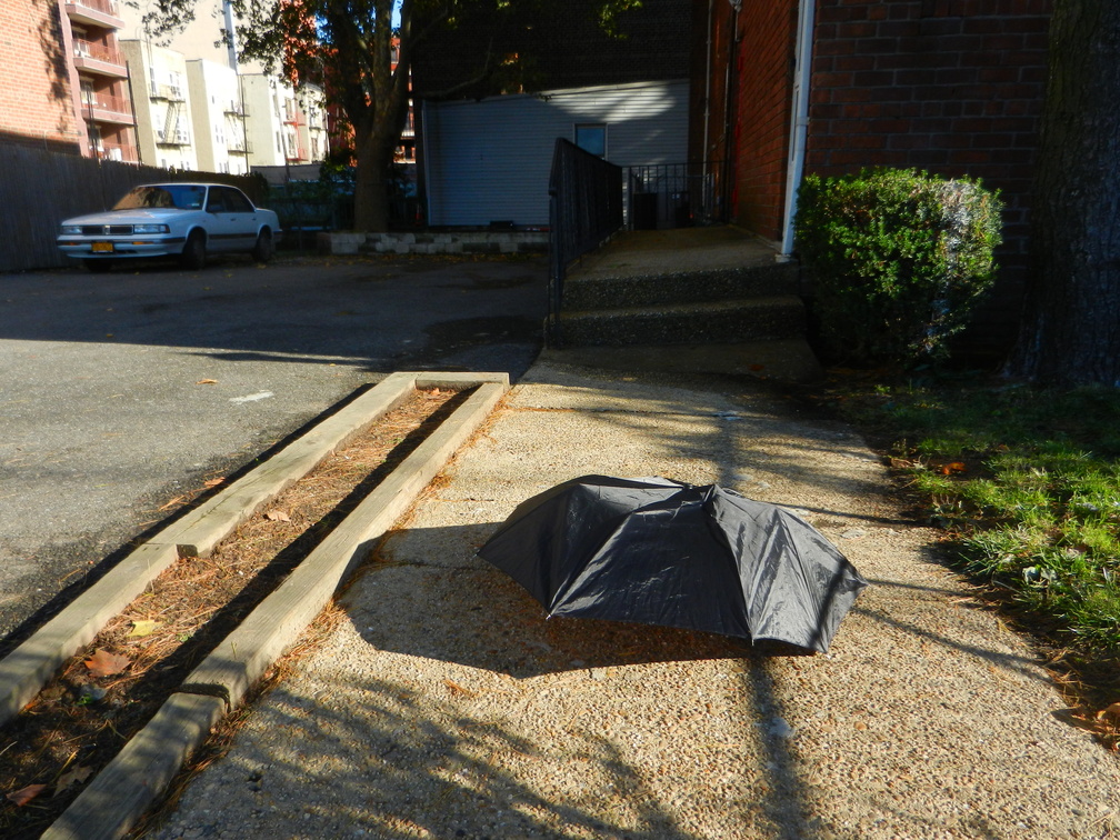 Discarded Umbrella Carcasses, NYC