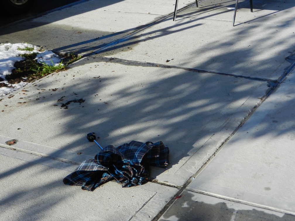 Discarded Umbrella Carcasses, NYC