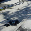 Discarded Umbrella Carcasses, NYC