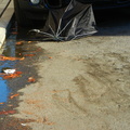 Discarded Umbrella Carcasses, NYC