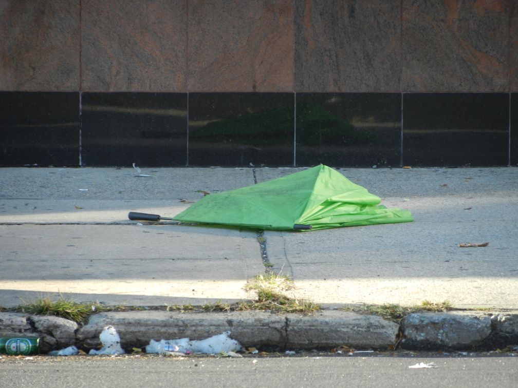 Discarded Umbrella Carcasses, NYC