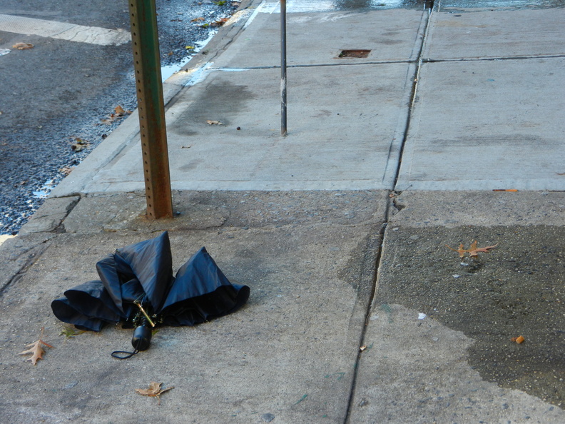 Discarded Umbrella Carcasses, NYC