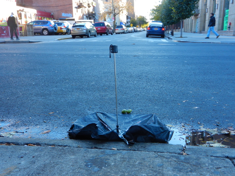 Discarded Umbrella Carcasses, NYC