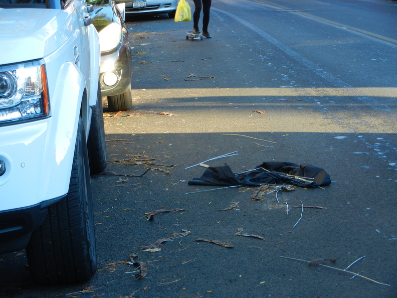 Discarded Umbrella Carcasses, NYC