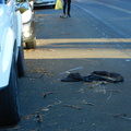 Discarded Umbrella Carcasses, NYC