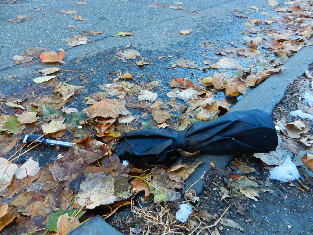 Discarded Umbrella Carcasses, NYC