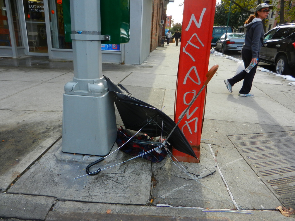 Discarded Umbrella Carcasses, NYC