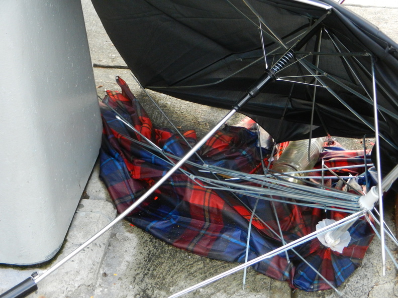 Discarded Umbrella Carcasses, NYC