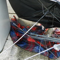 Discarded Umbrella Carcasses, NYC