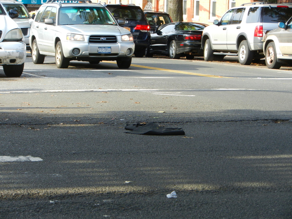 Discarded Umbrella Carcasses, NYC