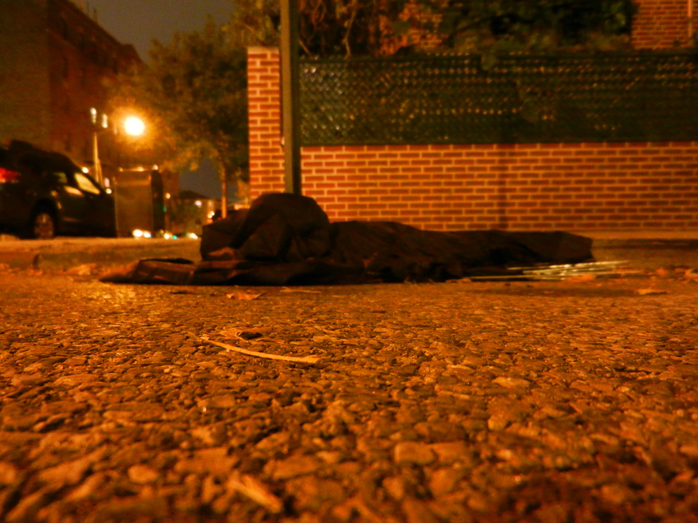 Discarded Umbrella Carcasses, NYC