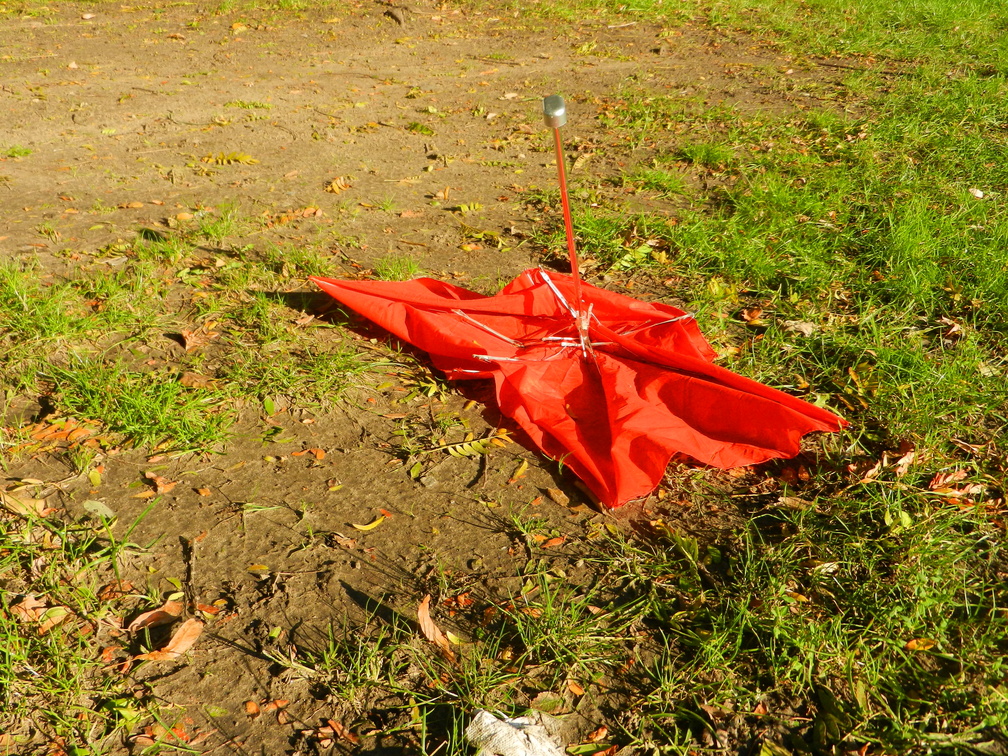 Discarded Umbrella Carcasses, NYC